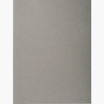 Set of Subfolders Exacompta Grey A4 100 Pieces (5 Units)