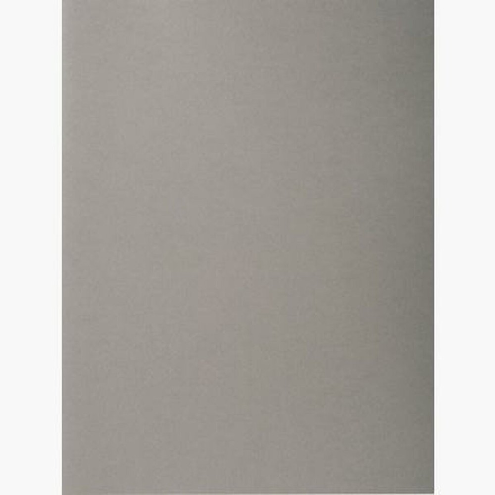 Set of Subfolders Exacompta Grey A4 100 Pieces (5 Units)