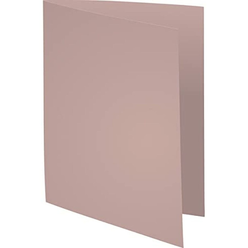 Set of Subfolders Exacompta Grey A4 100 Pieces (5 Units)