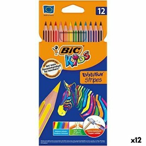 Buntstifte Bic KIDS EVOLUTION STRIPES Bunt 12 Stücke (12 Stück)