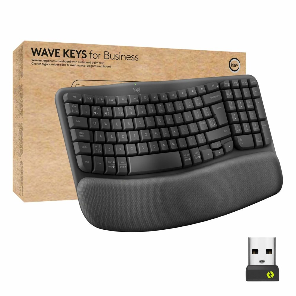 clavier et souris Logitech Graphite Acier Espagnol Qwerty