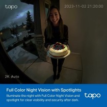 Surveillance Camcorder TP-Link TAPO D210