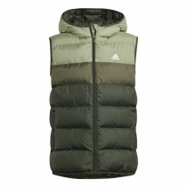 Gilet de Sport Unisexe Adidas Synthetic Down Vert