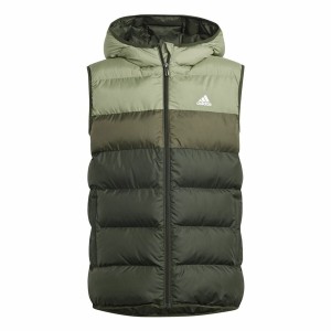 Gilet de Sport Unisexe Adidas Synthetic Down Vert