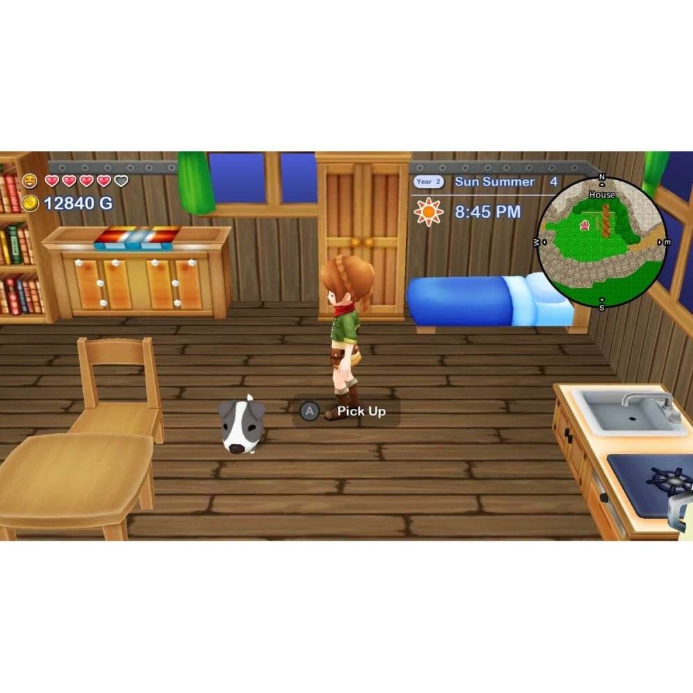 Videospiel für Switch Just For Games Harvest Moon The Lost Valley & Skytree Village