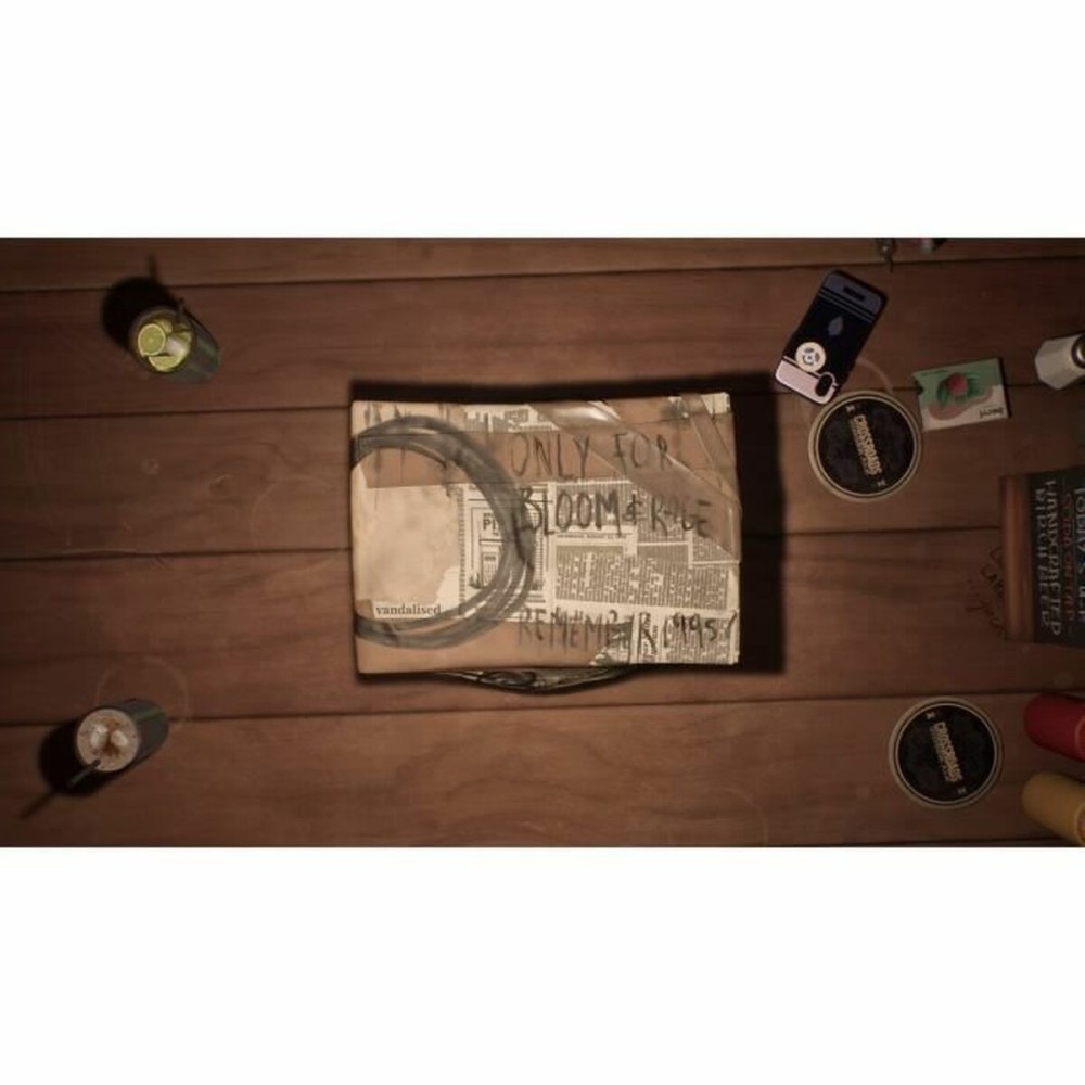 Jeu vidéo PlayStation 5 Just For Games Lost Records: Bloom & Rage