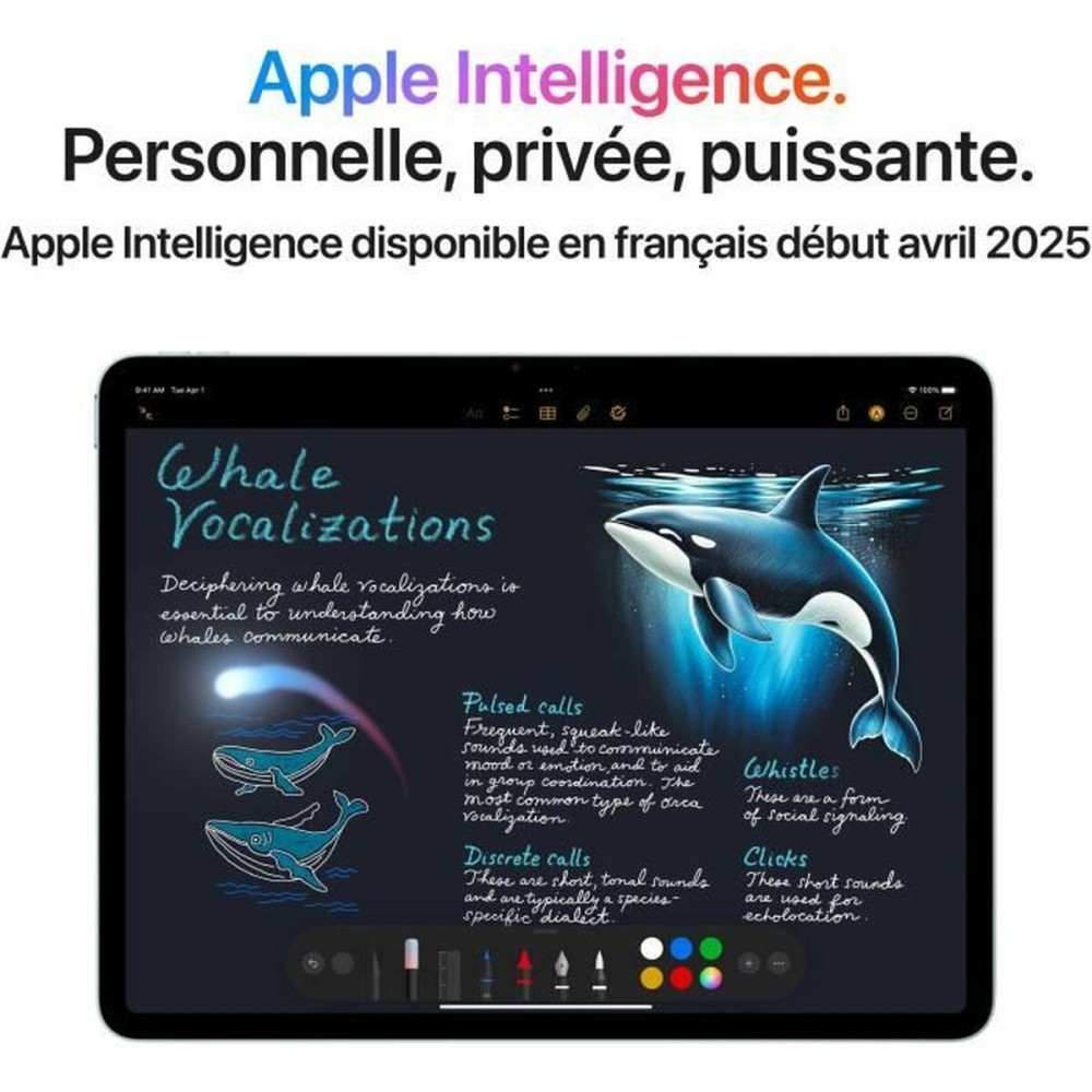 Tablette Apple Mauve 13" M3 8 GB RAM 1 TB