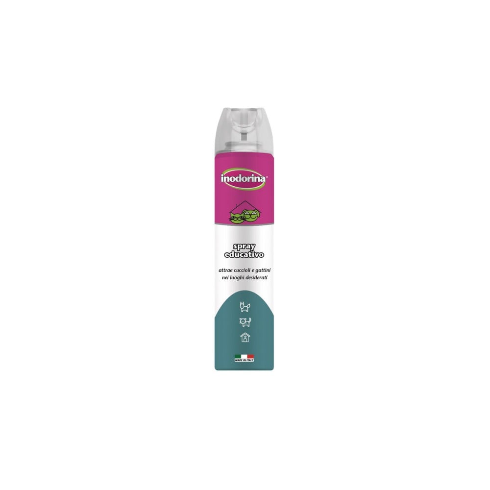 Brosse Inodorina Plastique