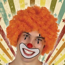 Wigs Male clown 117913