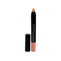 Lidschatten Postquam Color Trend Nº 10 Pastel Camel 10 g Stick