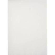 Laminating sleeves Fellowes 5351111 Transparent A4 Laminator (100 Units)