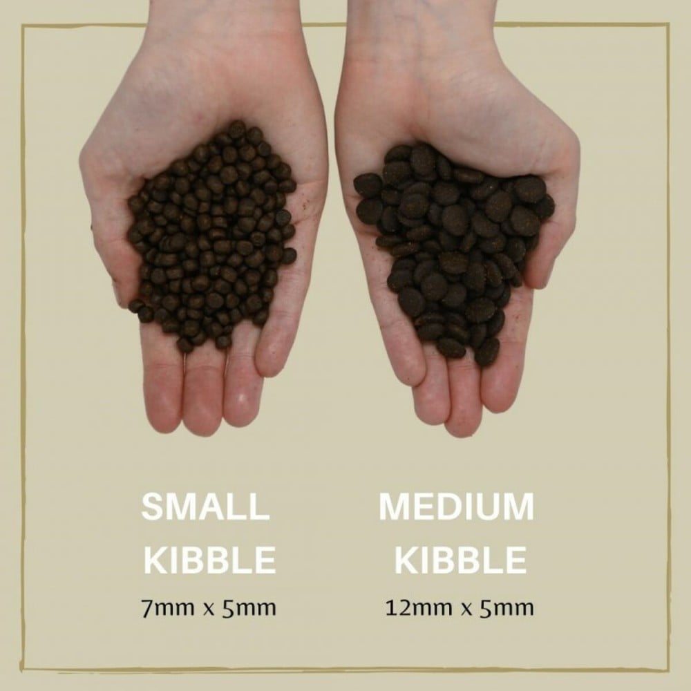 Fodder EDEN 80/20 Medium kibble Salmon 2 Kg