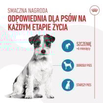 Dog Snack Royal Canin Training Treats 110 g