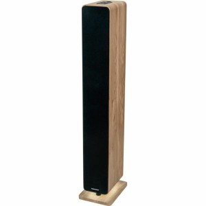 Bluetooth Lautsprecherturm Thomson 120 W Schwarz