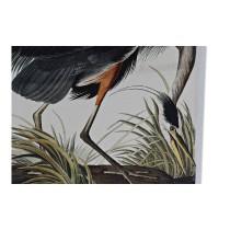 Leinwand DKD Home Decor Heron Kiefer Leinwand 50 x 1,8 x 70 cm