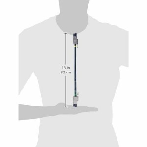 Câble d’Alimentation CISCO CAB-SPWR-30CM 