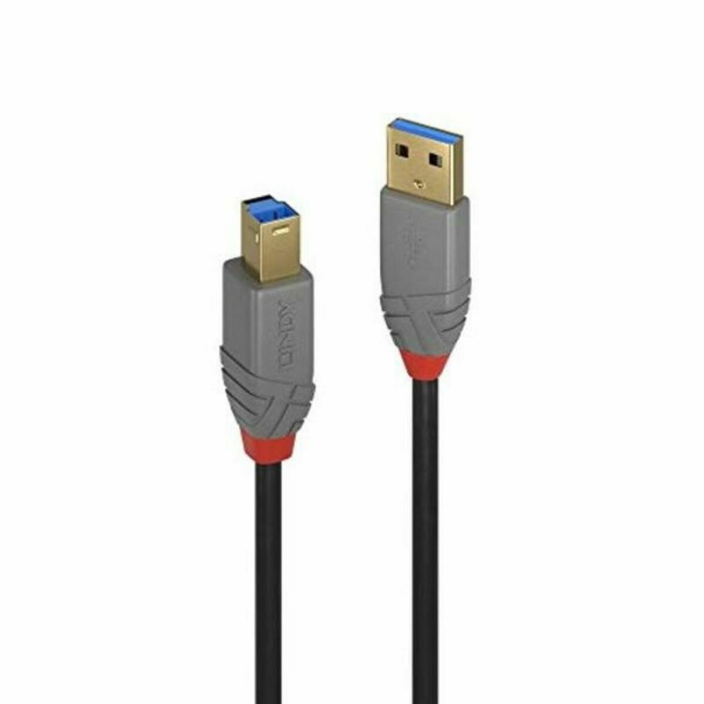 USB Cable LINDY 36744 5 m Black Grey