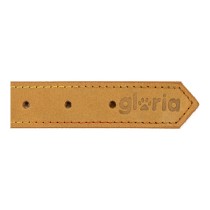 Collier pour Chien Gloria Oasis Jaune (1,5 x 40 cm)
