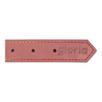 Collier pour Chien Gloria Oasis Rose (1,5 x 40 cm)