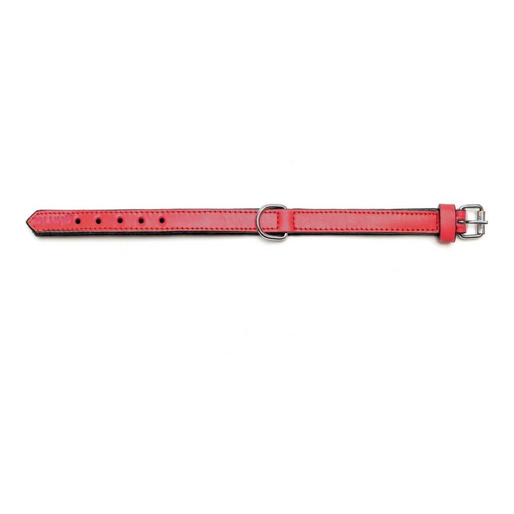 Hundehalsband Gloria Polsterung Rot 35 cm (35 x 1,5 cm)
