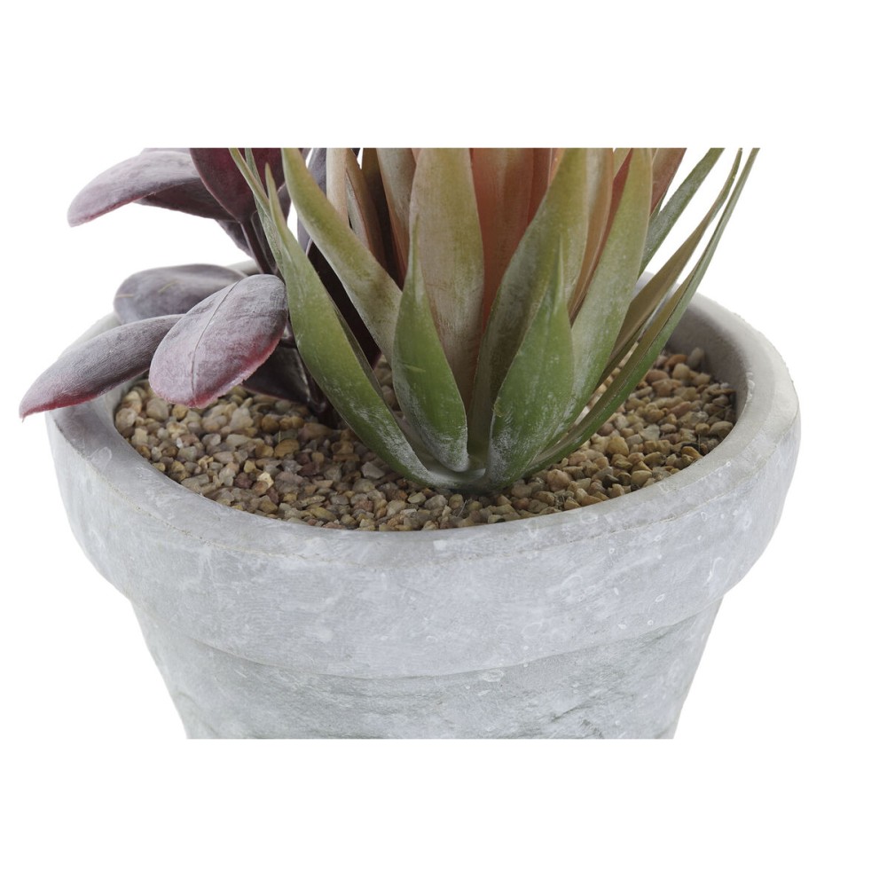 Plante décorative DKD Home Decor Rouge Gris Orange EVA PE (16 x 12,5 x 19,5 cm) (2 Unités)