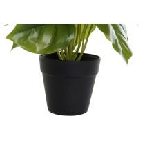 Dekorationspflanze DKD Home Decor PVC Polypropylen 20 x 20 x 30 cm