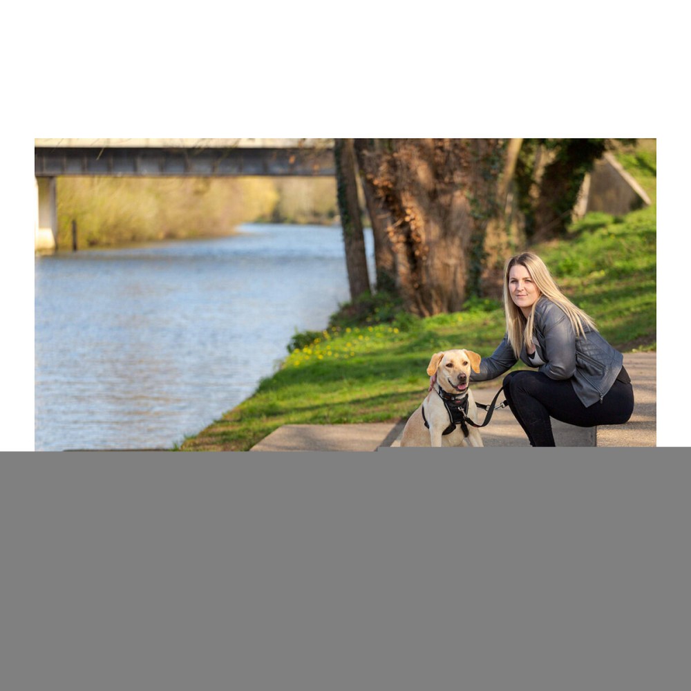 Harnais pour Chien Company of Animals Halti Taille M (34-56 cm)
