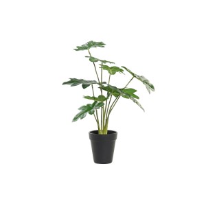 Dekorationspflanze DKD Home Decor grün PE (20 x 20 x 40 cm)