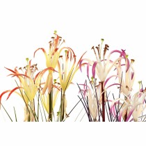 Decorative Plant DKD Home Decor Metal Orange Burgundy PVC Lilies (25 x 25 x 88 cm) (2 Units)