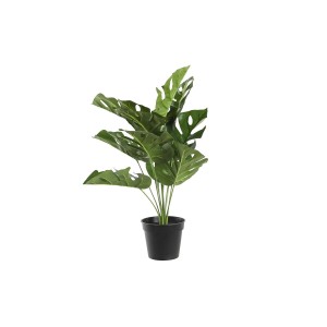Dekorationspflanze DKD Home Decor Monstera grün PP PE (48 x 42 x 51 cm)