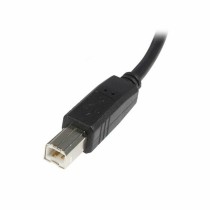 Câble USB A vers USB B Startech USB2HAB5M            Noir