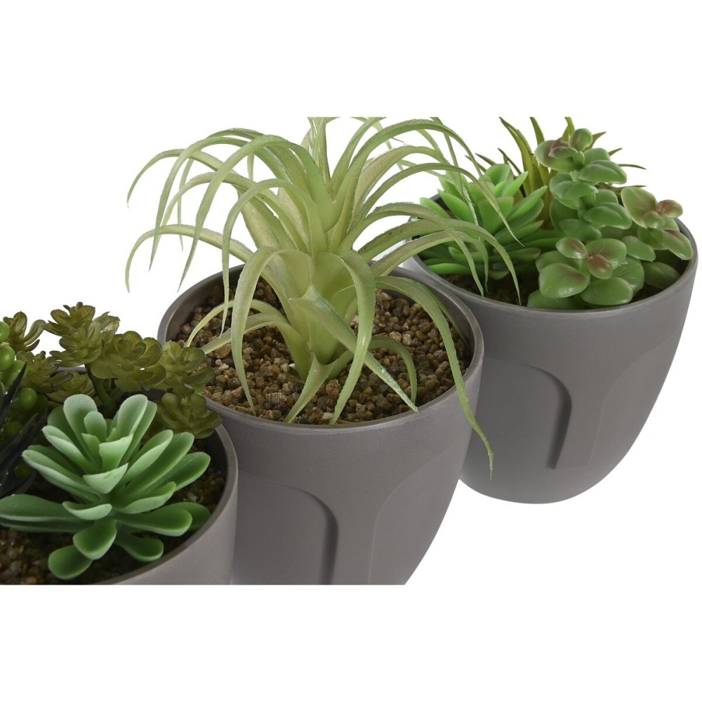Decorative Plant DKD Home Decor Grey Beige Polyethylene Green polypropylene (11 x 11 x 15 cm) (3 Units)