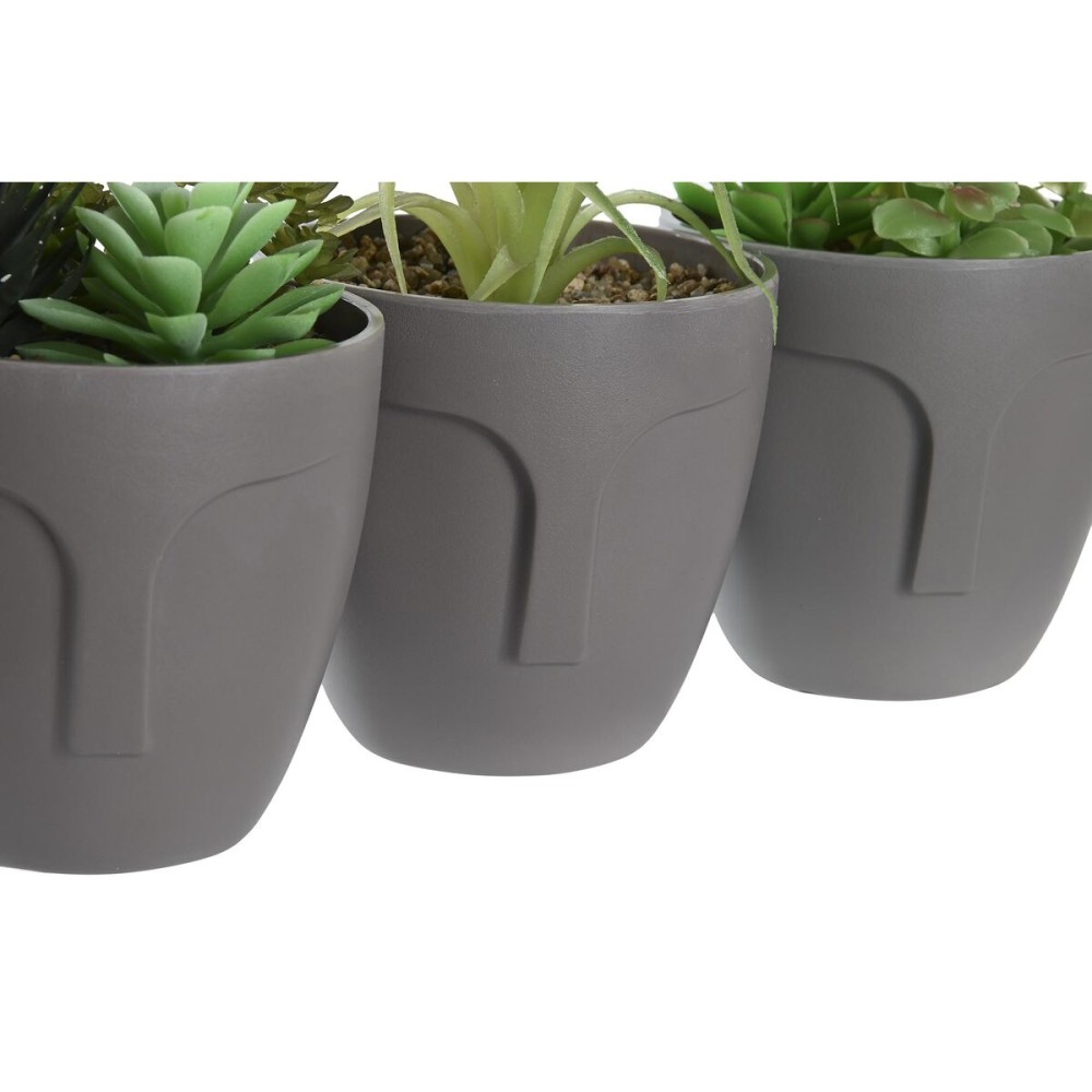 Decorative Plant DKD Home Decor Grey Beige Polyethylene Green polypropylene (11 x 11 x 15 cm) (3 Units)