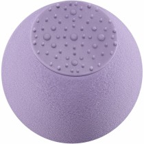 Exfoliating Facial Sponge Real Techniques 4223 (1 Unit)