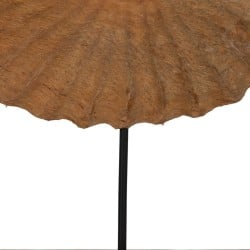 Sculpture Beige Mango wood 49,5 x 9 x 53,5 cm Snail