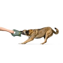 Jouet pour chien Hunter Tough Tundra Vert Hibou
