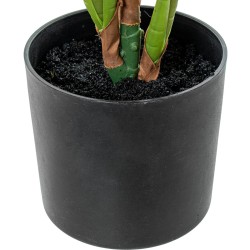 Dekorationspflanze Alexandra House Living Kunststoff Calathea 50 cm