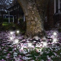 Solarlampe Lumisky Alesia LED Silberfarben Edelstahl Kaltweiß (8 Stück)