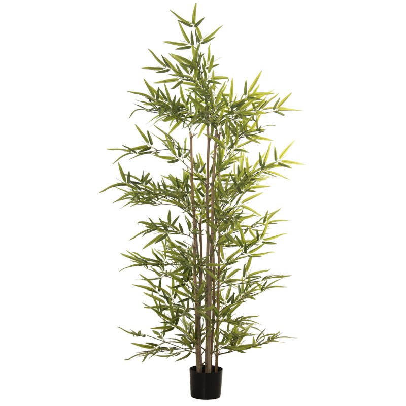 Plante décorative Alexandra House Living Plastique Bambou 15 x 15 x 162 cm