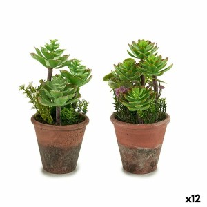 Dekorationspflanze Ibergarden XD16-849 Kunststoff Sukkulente 16 x 23 x 16 cm (12 Stück)
