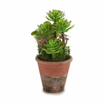 Dekorationspflanze Ibergarden XD16-849 Kunststoff Sukkulente 16 x 23 x 16 cm (12 Stück)