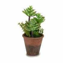 Dekorationspflanze Ibergarden XD16-849 Kunststoff Sukkulente 16 x 23 x 16 cm (12 Stück)