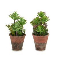 Dekorationspflanze Ibergarden XD16-849 Kunststoff Sukkulente 16 x 23 x 16 cm (12 Stück)