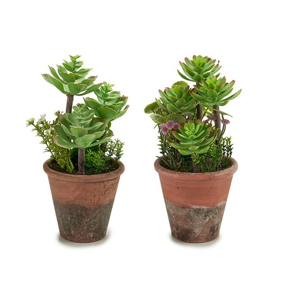 Plante décorative Ibergarden XD16-849 Plastique Succulent 16 x 23 x 16 cm (12 Unités)