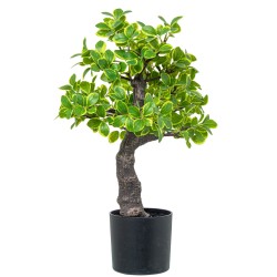 Plante décorative Alexandra House Living Plastique Fusain 45 cm