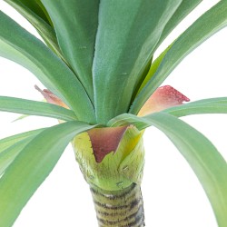 Plante décorative Alexandra House Living Plastique yucca 70 cm