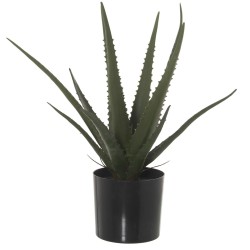 Decorative Plant Alexandra House Living Plastic Aloe Vera 11 x 11 x 39 cm