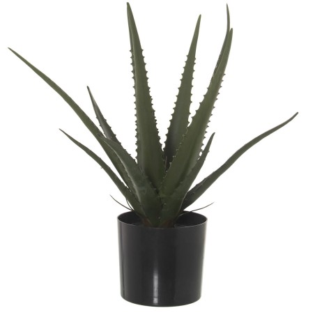 Dekorationspflanze Alexandra House Living Kunststoff Aloe Vera 11 x 11 x 39 cm