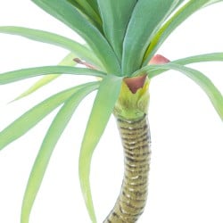 Plante décorative Alexandra House Living Plastique yucca 70 cm