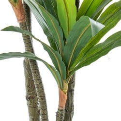 Plante décorative Alexandra House Living Plastique Dracaena 160 cm